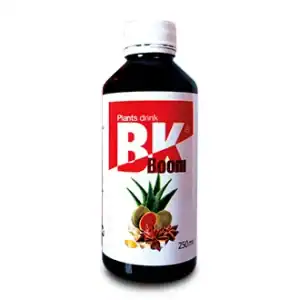 BK Boom Bronco Bomba - 250 ml