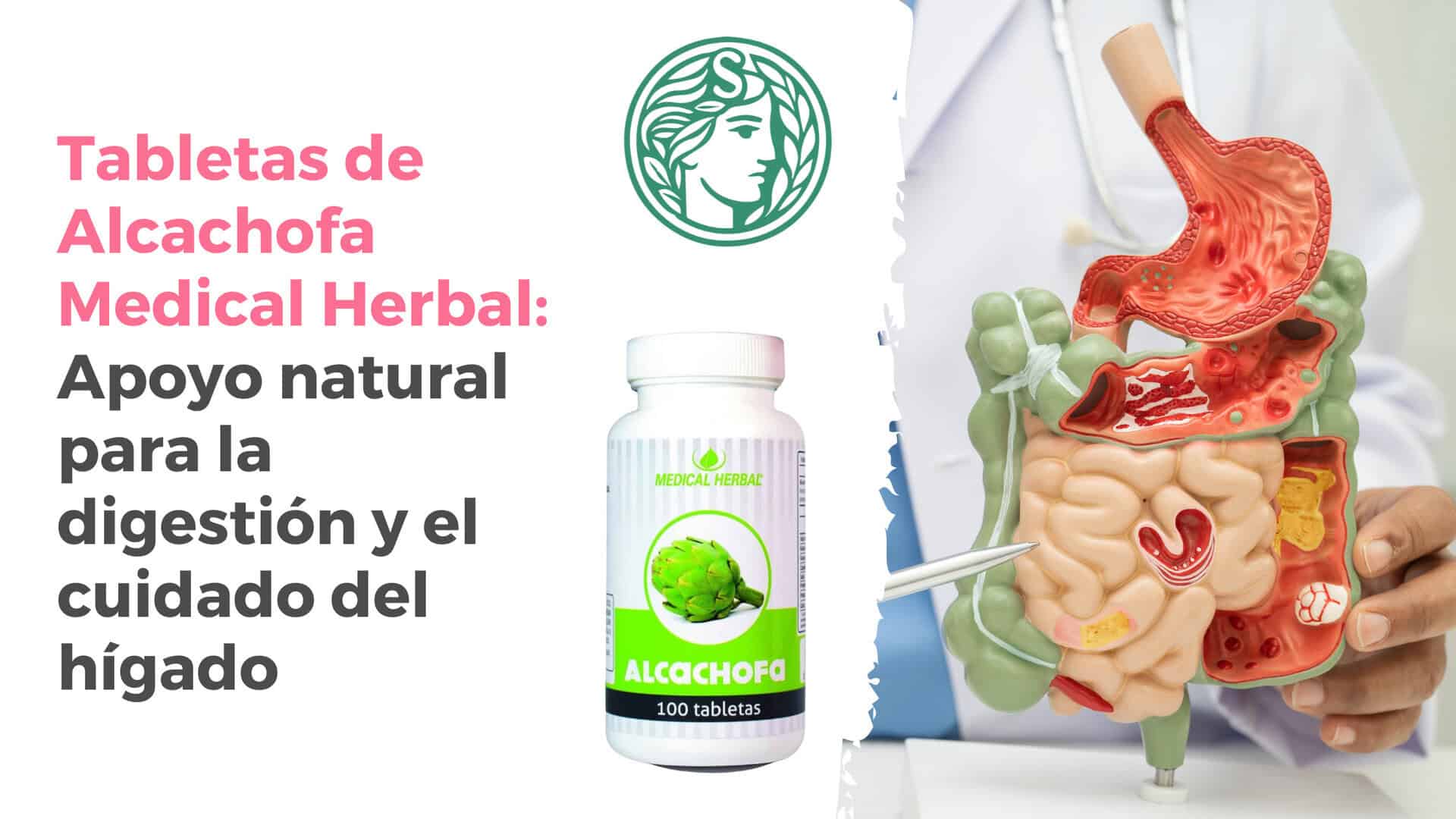 MacroMed Tabletas de Alcachofa